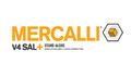 Mercalli V4 SAL+ - You will not find better stabilisation software