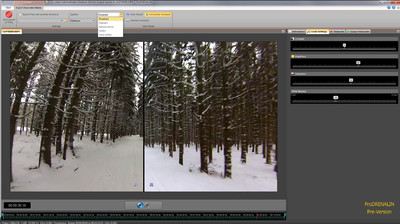 Screenshot ProDRENALIN Wald im Winter