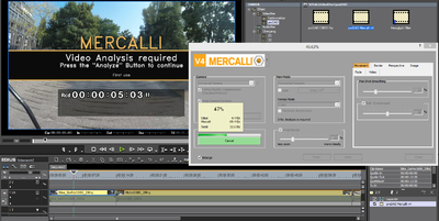 Screenshot Mercalli V4 Videoanalyse