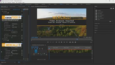 Screenshot Mercalli V4 Plug In for Adobe