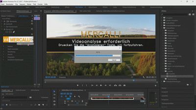 Screenshot Mercalli V4 Plug In for Adobe