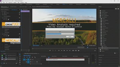 Screenshot Mercalli V4 Plug In for Adobe