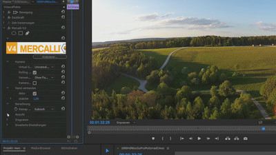 Screenshot Mercalli V4 Plug In for Adobe