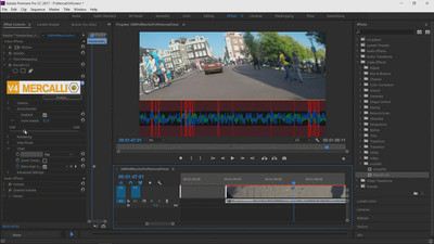 Screenshot Mercalli V4 Plug In for Adobe